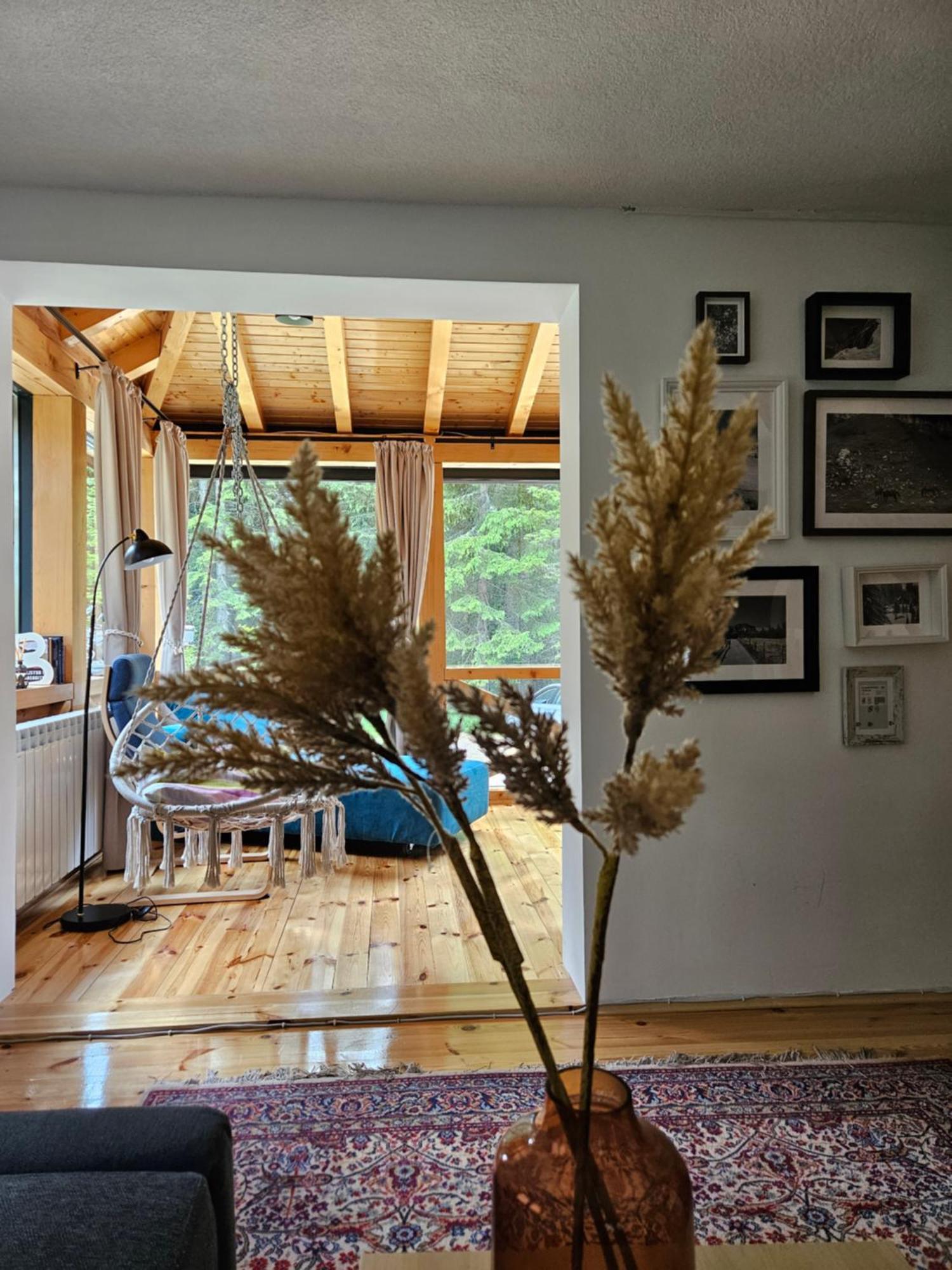 Black Lake Chalet Zabljak  Exterior photo