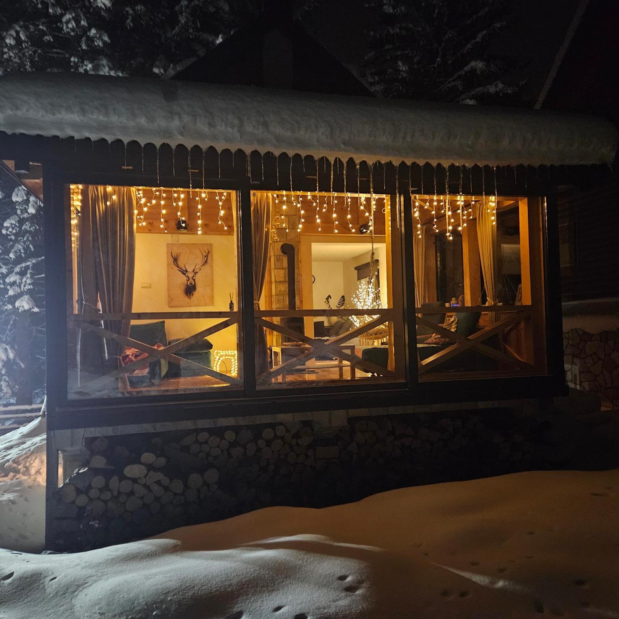 Black Lake Chalet Zabljak  Exterior photo